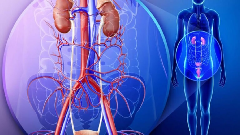 P10-Uroclinic-Craiova-Despre litiaza urinara